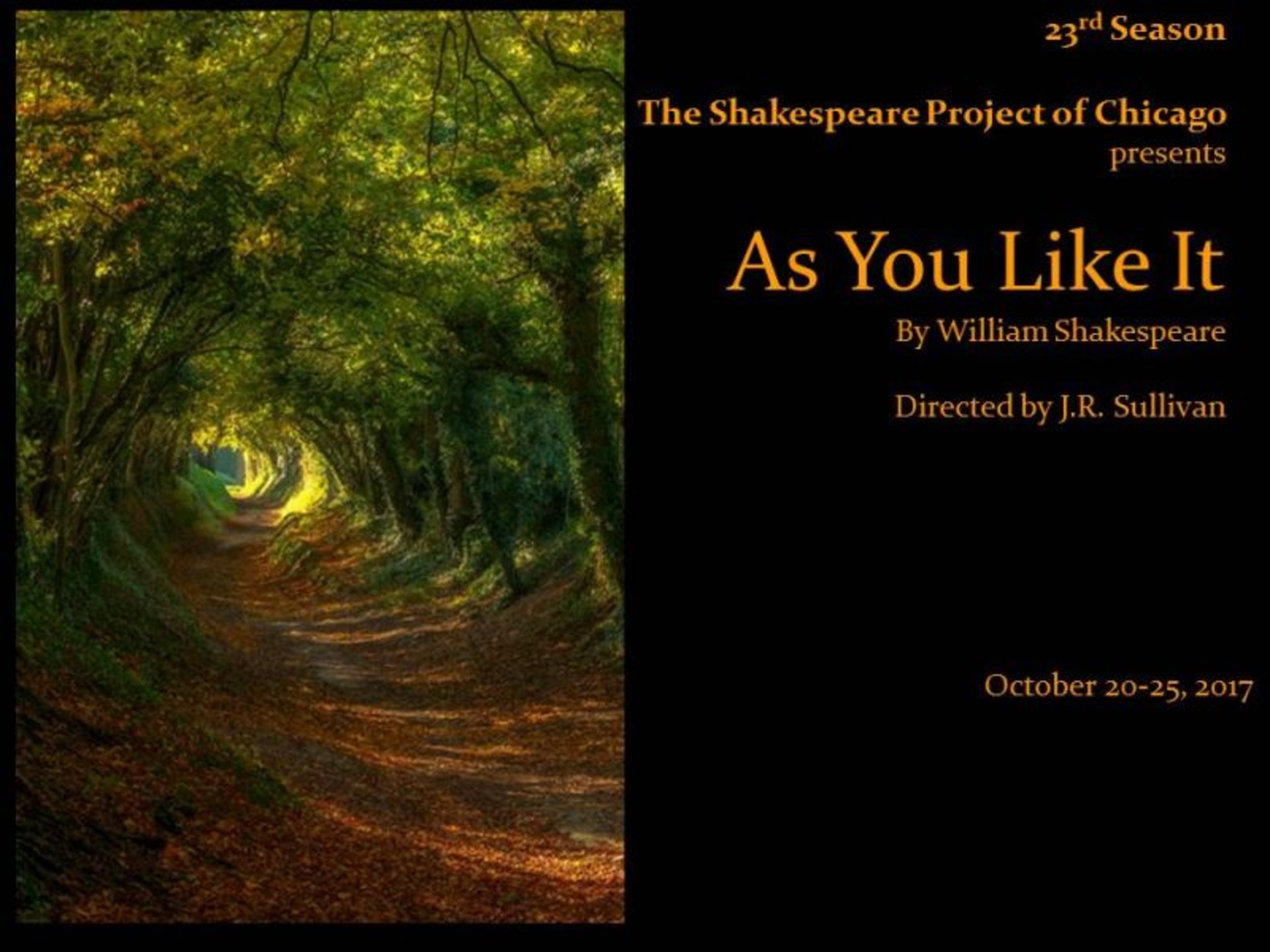 As You Like It 2017 poster for The Shakespeare Project of Chicago
